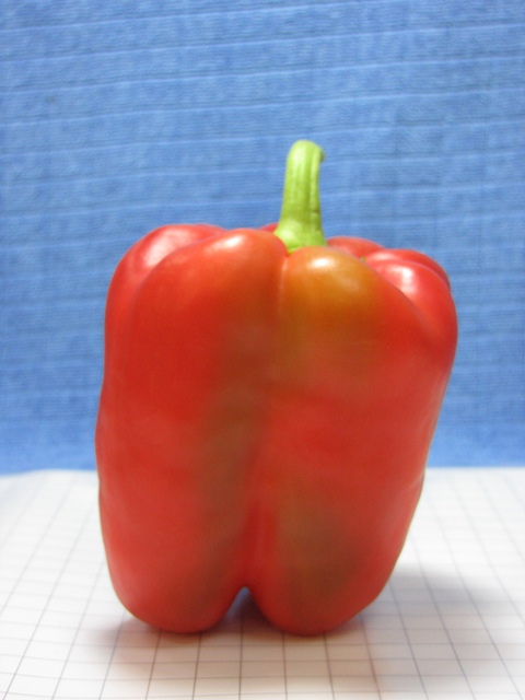Lamuyo 3/4 type pepper 715-069 p2